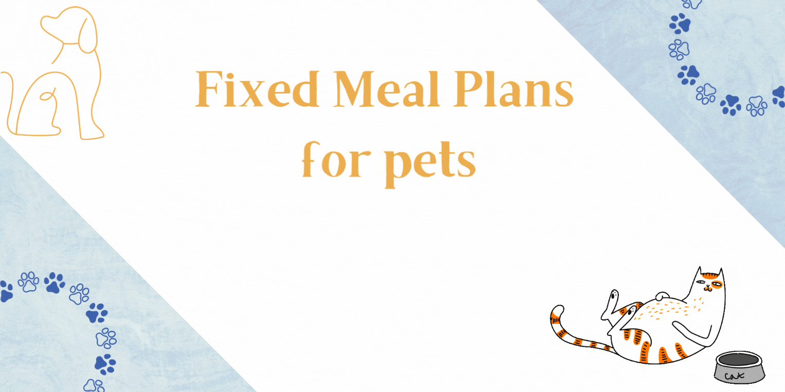 Fixed meal plan banner
